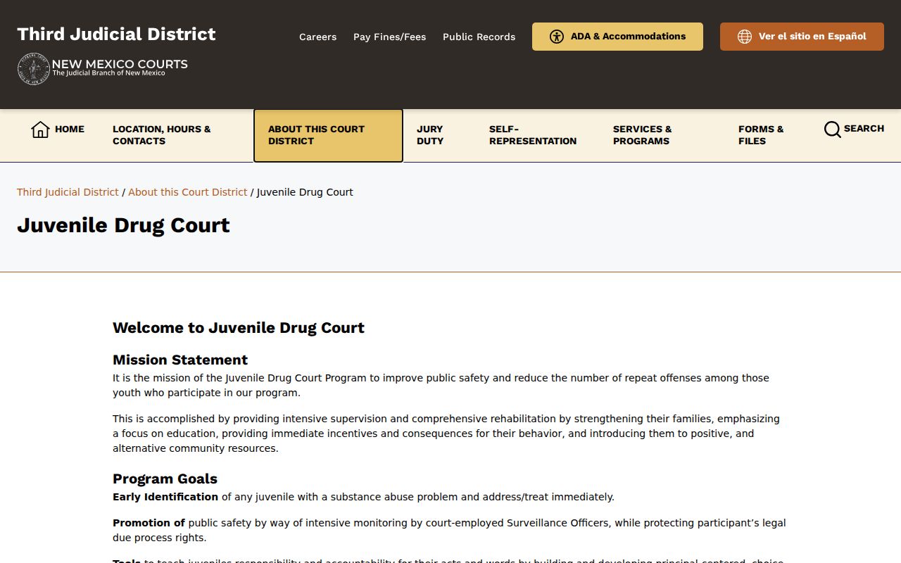 Doña Ana County criminal docket access context from the juvenile drug court page
